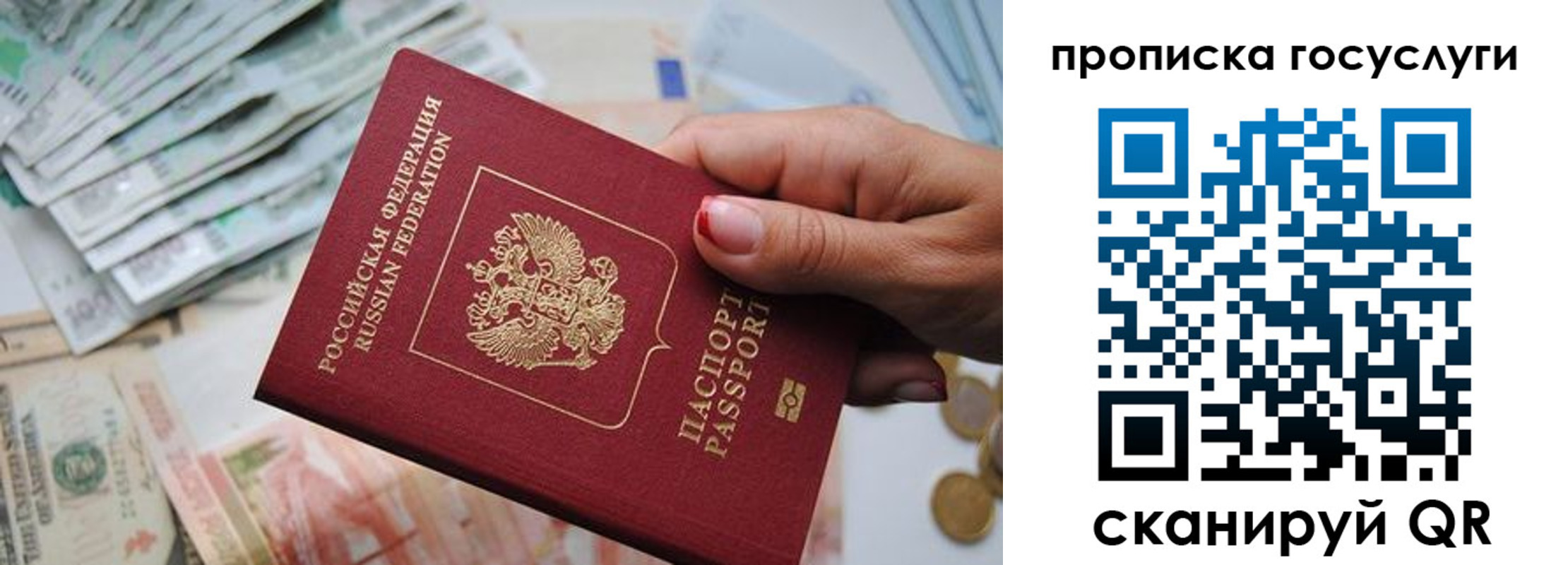 прописка поиск в Одинцово